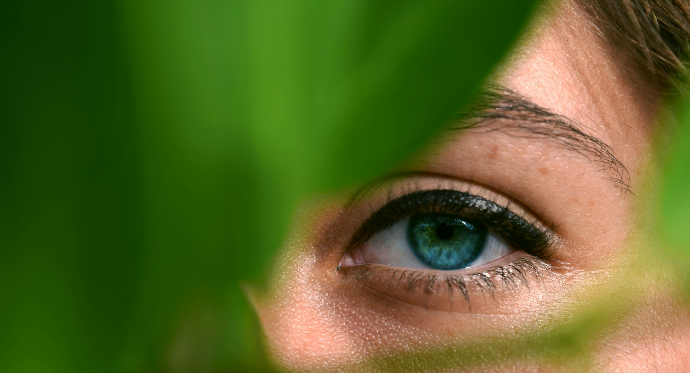 outsourced cfo geneva odoo